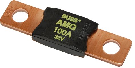 Mega® Amg® Fuse 100 Amp Blue Sea Systems