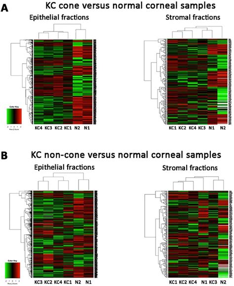 Heat Maps Of An Unsupervised Hierarchical Clustering Of Proteins With Download Scientific