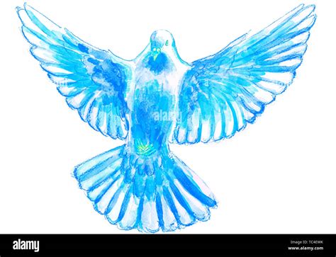 Watercolor And Digital Watercolor Illustration Of Bird Pigeon In Blue