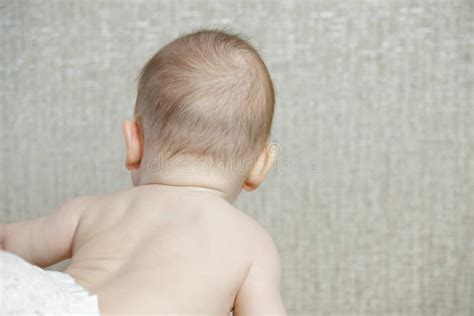 Baby Turned Back Stock Image Image Of Back Baby View 39519235