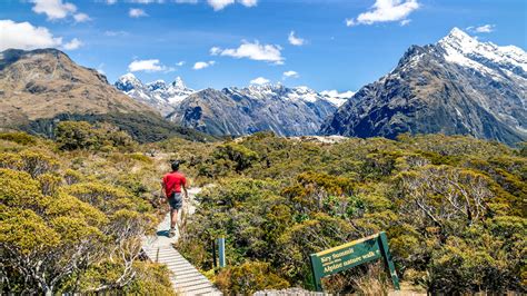 Can I Hike New Zealands Great Walks Now Lonely Planet