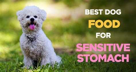 Below, we'll explain some of the symptoms of sensitive stomachs in dogs and describe the characteristics of foods that can often. best puppy food for sensitive stomach and diarrhea