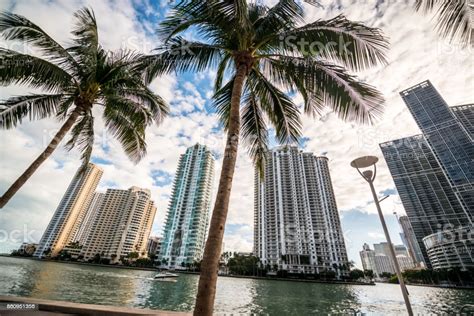 Miami Waterfront Real Estate Usa Stock Photo Download Image Now