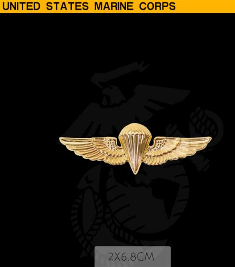 Usmc Badge Skill Badge Metal Badge Usmc Parachutespiritus Invictus