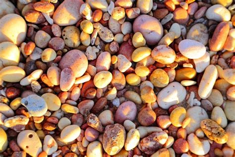 Image Of Colourful Pebbles Along The Shore Of Pebble Beach Austockphoto