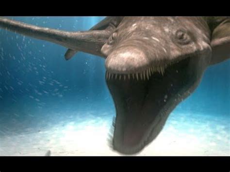 Recent studies have suggested that some predatory dinosaurs, including the giants like tyrannosaurus rex , did indeed rely on ambush to sneak up on. Predator X - Most powerful marine reptile ever - Planet ...