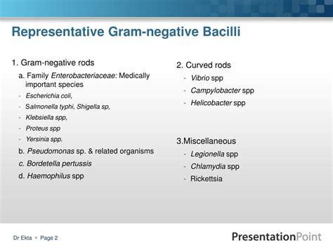 Ppt Medically Important Gram Negative Bacilli Part 1 Powerpoint