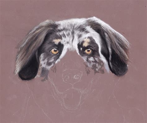Hand Painted Dog Portraits Gemma Whelbourn Art