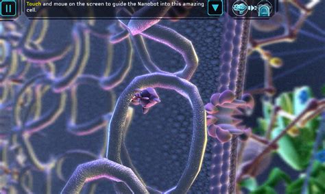 Simcell Serious Games To Gain Deep Understanding Of Cellular Biology
