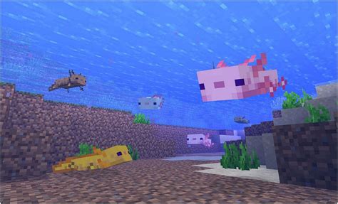 How To Find Axolotls In Minecraft 118 Version Easily