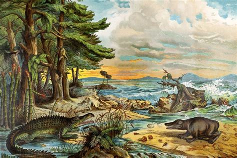 1888 Colour Lithograph Of Triassic Coast Stock Image C0110807