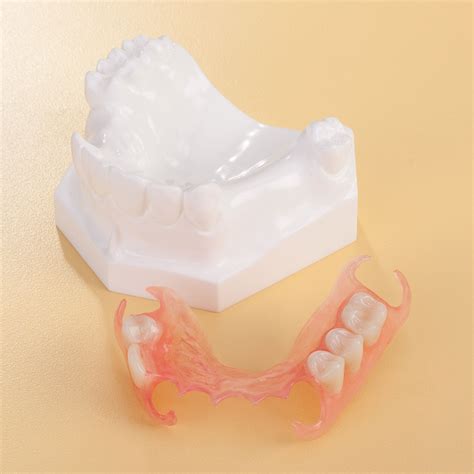 Flexible Partial Denture Model Practicon Dental Supplies