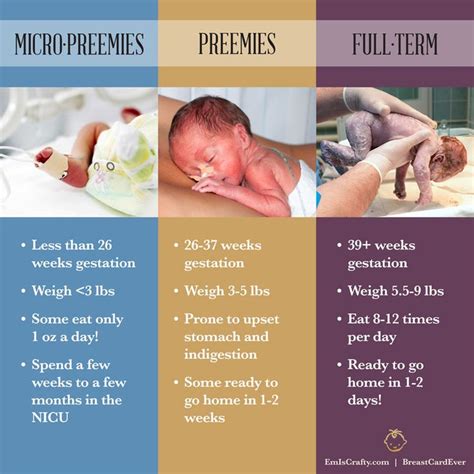 Micropreemie Preemie Fullterm Baby Facts Nicu Nurse Education