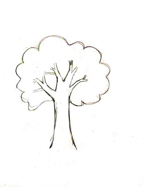 Step By Step Simple Tree Pencil Drawing Easy Drawing Ideas