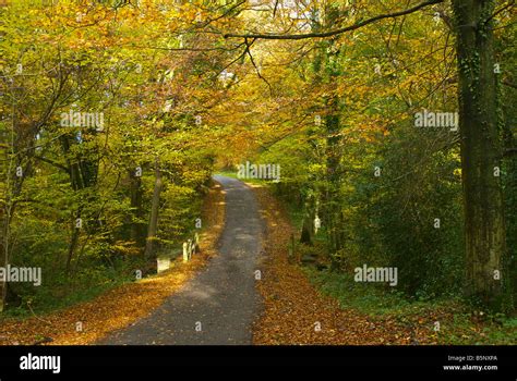 Country Lane Road Walk England Uk Autumn Stock Photo Alamy