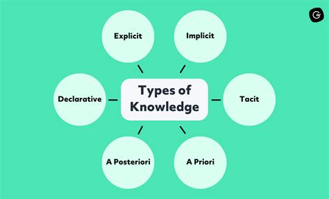 The 7 Types Of Knowledge Definitions Examples And More