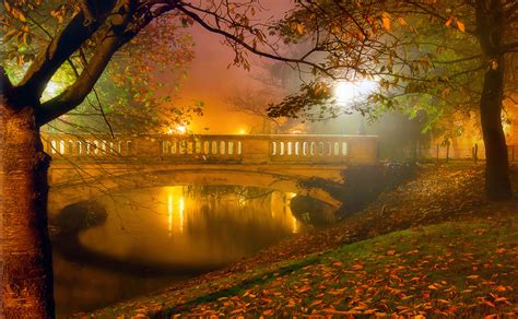 Misty Night In Autumn Park