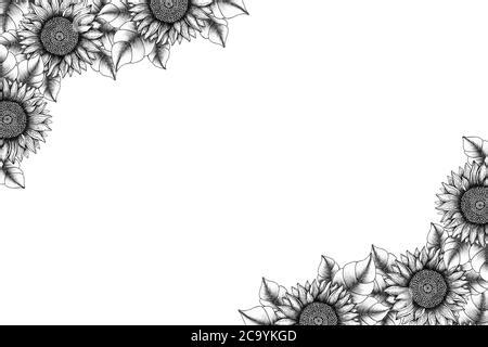 Black And White Sunflowers Frame Card Design Festive Floral Template