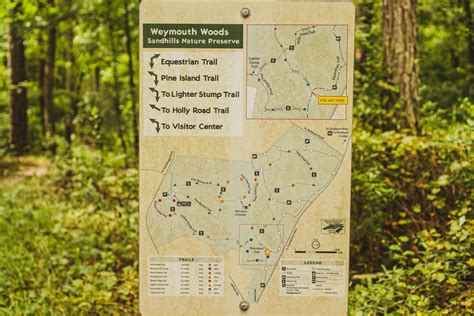How To Plan A Day Out Hiking In Weymouth Woods Southern Pines