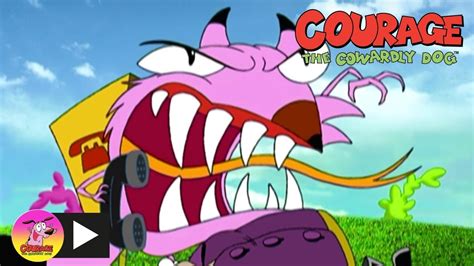 Courage The Cowardly Dog Fox Chase Cartoon Network