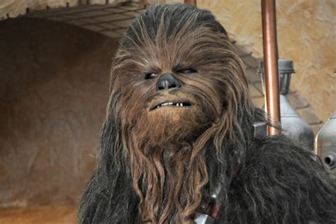 Disfraz De Chewbacca Supreme Ubicaciondepersonascdmxgobmx