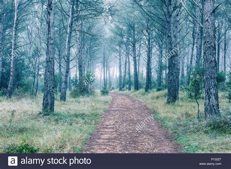 Mysterious Landscapes Hi Res Stock Photography And Images Alamy