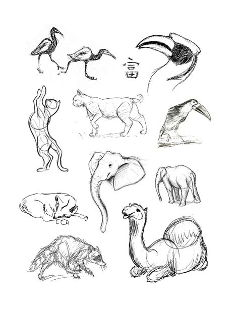 How To Draw Animals Step By Step With Pencil The Following Step By