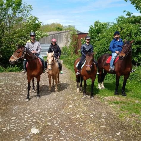 Snowdonia Riding Stables Caernarfon Wales What You Need To Know