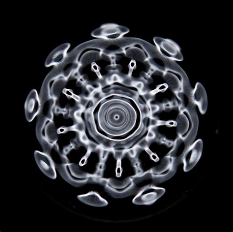 Cymatics Evan Grant