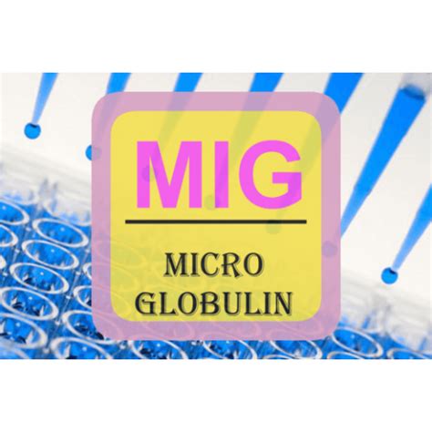 Microglobulin Elisa Beta 2 B2m E B01 United Immunoassay