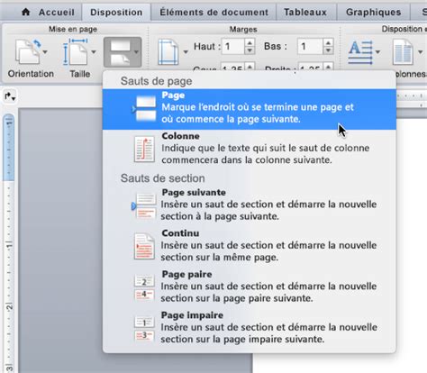 Comment Supprimer Une Deuxième Page Vierge Sur Word - Ajouter ou supprimer une page dans Word pour Mac - Word pour Mac