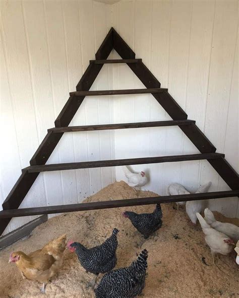 Chicken Roosts Why It S Important To Your Hens Artofit