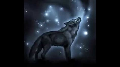 Explore animated wolf wallpaper on wallpapersafari | find more items about wolf howling wallpaper, free wolf screensavers and the great collection of animated wolf wallpaper for desktop, laptop and mobiles. White and Black wolf love - YouTube