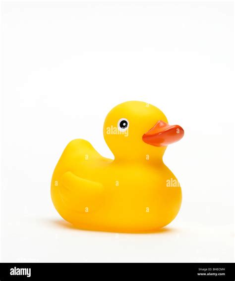 Isolated Photo Of Some Funny Yellow Ducks Stock Photo Alamy