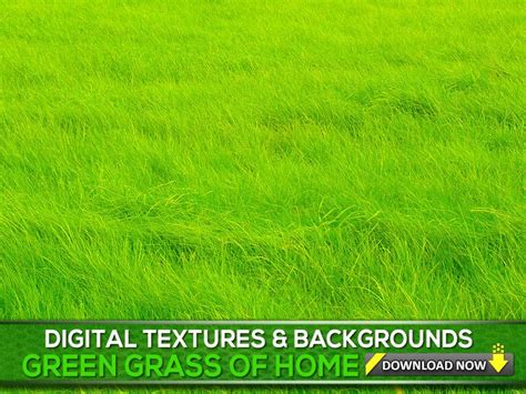 100 Grass Textures And Backgrounds Green Grass Photoshop Etsy