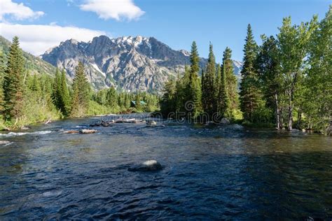 Mountain Stream In Grand Teton National Park Stock Photo Image Of
