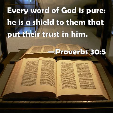 Proverbs 305 Every Word Of God Is Pure He Is A Shield To Them That