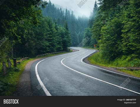 Road Foggy Forest Image And Photo Free Trial Bigstock