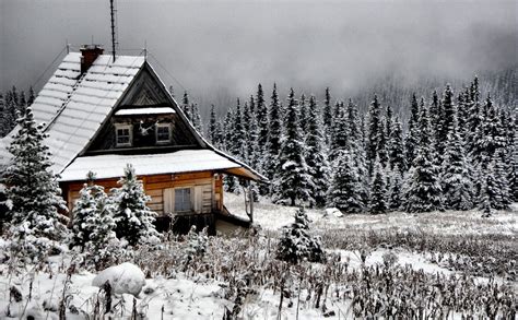 Hoffman as a less than honourable priest and portman as a young woman out in a wood cabin, alone with her. Free Images : tree, nature, forest, mountain, sky, wood ...