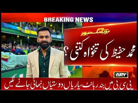 Director Pakistan Cricket Team Mohammad Hafeez S Sellery From PCB