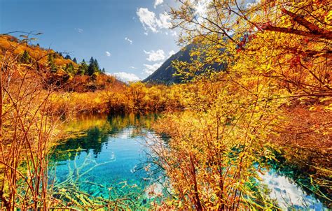 Wallpaper Autumn Forest Trees Mountains Lake Yellow China Sunny