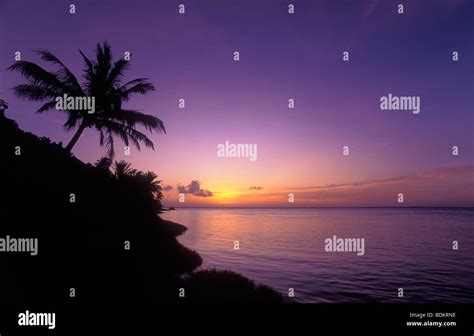 Sunrise And Palm Tree Pago Bay Guam Stock Photo Alamy