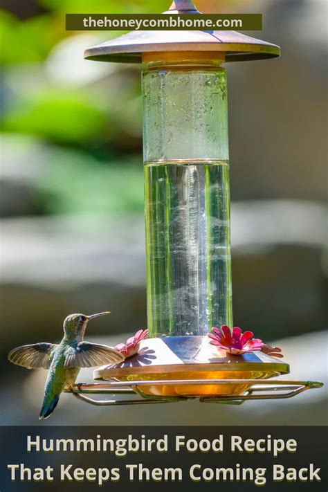 Make Hummingbird Feeder Food Ragamrumah