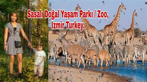 Sasalı hayvanat Bahçesi nde Safari Sasalı Doğal yaşam Park Izmir