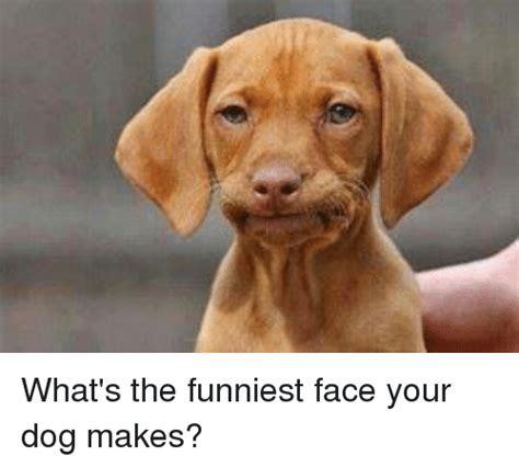 25 Best Memes About Funniest Face Funniest Face Memes