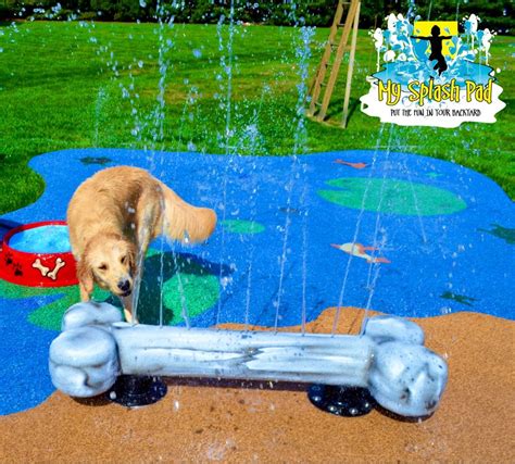 Our 4 Long Dog Bone Is An Awesome Additional To Our Water Play Feature