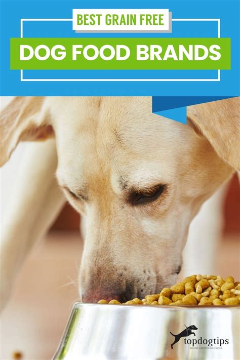 The 50 Best Grain Free Dog Foods In 2021 Dog Food Recipes Free Dog