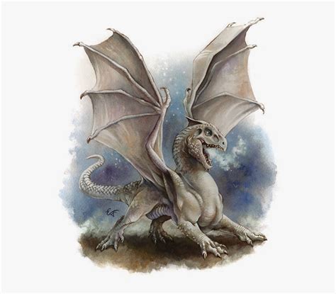 Dandd White Dragon Wyrmling Hd Png Download Is Free Transparent Png