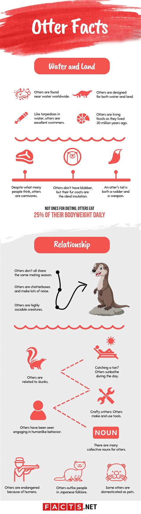 Top 19 Otter Facts - Range, Types, Diet, Predators & More | Facts.net