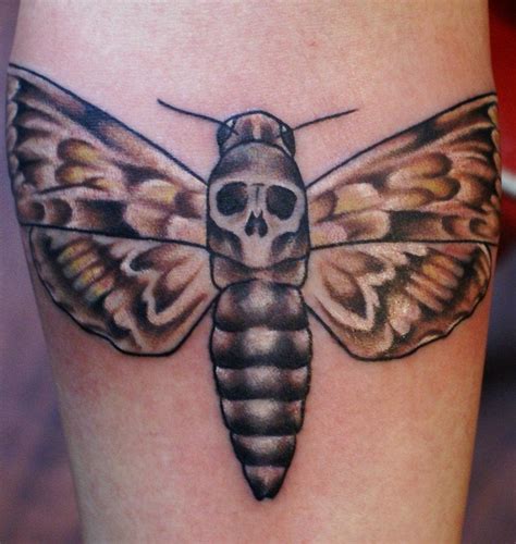 Moth Tattoos Designs Ideas And Meaning Tattoos For You